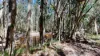 35 Bullock Creek Esp, Meldale, Qld 4510-Image
