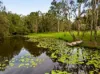 35 Komraus Court, Morayfield, Qld 4506-Image