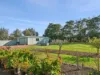 35 Lynnburn Road, Batesford, Vic 3213-Image