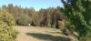 35 Sandstone Drive, Anambah, NSW 2320-Image