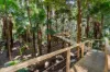 35 Southfork Drive, Glenning Valley, NSW 2261-Image