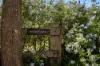 35 Uworra Road, Wilberforce, NSW 2756-Image