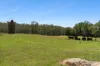 35 Uworra Road, Wilberforce, NSW 2756-Image