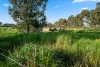 350 Mitchell Road, Kialla, Vic 3631-Image