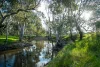 350 Mitchell Road, Kialla, Vic 3631-Image
