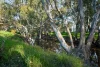 350 Mitchell Road, Kialla, Vic 3631-Image