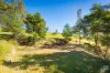 352 Bodalla Park Drive, Bodalla, NSW 2545-Image