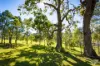 352 Bodalla Park Drive, Bodalla, NSW 2545-Image
