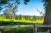 352 Bodalla Park Drive, Bodalla, NSW 2545-Image