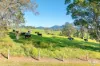 352 Bodalla Park Drive, Bodalla, NSW 2545-Image
