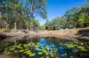 3527 Orara Way, Kremnos, NSW 2460-Image