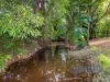 354 Main Arm Road, Mullumbimby, NSW 2482-Image
