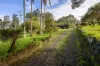 354 THE CHANNON ROAD, The Channon, NSW 2480-Image