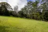 354 THE CHANNON ROAD, The Channon, NSW 2480-Image