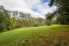 354 THE CHANNON ROAD, The Channon, NSW 2480-Image