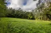 354 THE CHANNON ROAD, The Channon, NSW 2480-Image