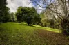 354 THE CHANNON ROAD, The Channon, NSW 2480-Image