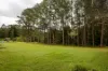 354 THE CHANNON ROAD, The Channon, NSW 2480-Image