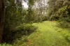 354 THE CHANNON ROAD, The Channon, NSW 2480-Image