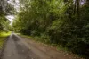 354 THE CHANNON ROAD, The Channon, NSW 2480-Image