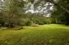 354 THE CHANNON ROAD, The Channon, NSW 2480-Image