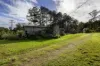 354 THE CHANNON ROAD, The Channon, NSW 2480-Image