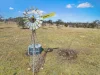 355 Dixon Lane, Ramsay, Qld 4358-Image
