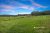 355 Forest Road, Labertouche, Vic 3816-Image