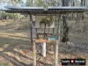 358 Kumbia Road, Ellesmere, Qld 4610-Image