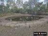 358 Kumbia Road, Ellesmere, Qld 4610-Image