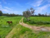 36 Kangan Road, Koonoomoo, Vic 3644-Image