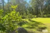 36 Kolinda Drive, Old Bar, NSW 2430-Image