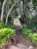 36 La Spina Road, Mareeba, Qld 4880-Image