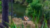36 La Spina Road, Mareeba, Qld 4880-Image
