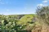 36 Morris Road, Delamere, SA 5204-Image