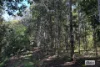 36 Third Avenue, Tarzali, Qld 4885-Image