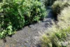 36 Third Avenue, Tarzali, Qld 4885-Image