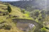 361 Hausmann Road, Mount Mee, Qld 4521-Image