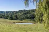 363 Greenhills Road, Werai, NSW 2577-Image