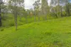 3632 WIde Bay Highway, Kilkivan, Qld 4600-Image