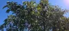 364 Gwynne Road, Georgica, NSW 2480-Image