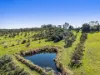 364 Gwynne Road, Georgica, NSW 2480-Image