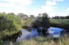 36490 Coolgardie Esperance Highway, Monjingup, WA 6450-Image