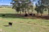 365 Toolamba-Rushworth Road, Toolamba West, Vic 3614-Image