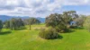 366 Blacks Flats Road, Mudgegonga, Vic 3737-Image