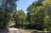 366 Bonnie View Drive, Croobyar, NSW 2539-Image