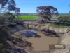 3686 Quairading-York Road (Kauring), York, WA 6302-Image