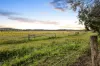 37-51 Espin Road, Bli Bli, Qld 4560-Image