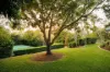 37 Corniche Place, Brookfield, Qld 4069-Image