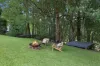 37 Golden Valley Road, Tallebudgera Valley, Qld 4228-Image